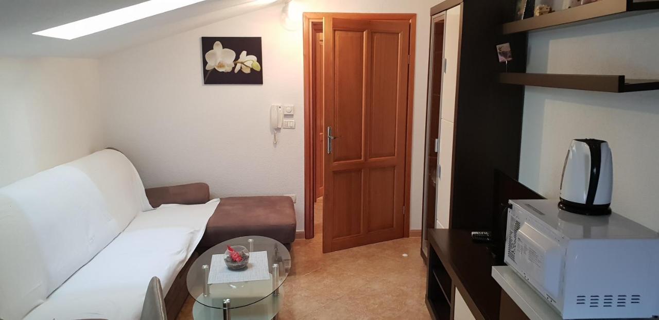 Apartmani Citrus Novigrad Filipac Esterno foto