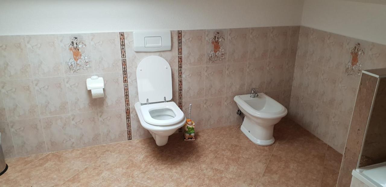 Apartmani Citrus Novigrad Filipac Esterno foto