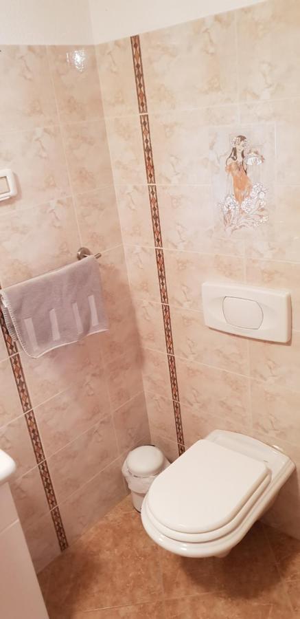 Apartmani Citrus Novigrad Filipac Esterno foto