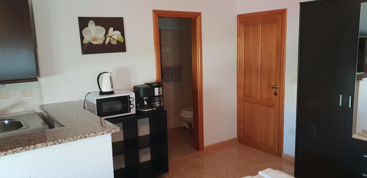 Apartmani Citrus Novigrad Filipac Esterno foto