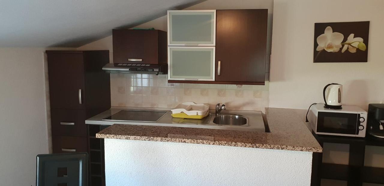 Apartmani Citrus Novigrad Filipac Esterno foto