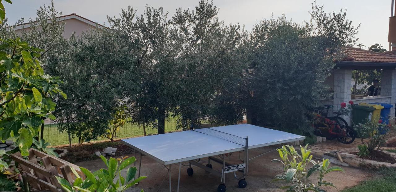 Apartmani Citrus Novigrad Filipac Esterno foto