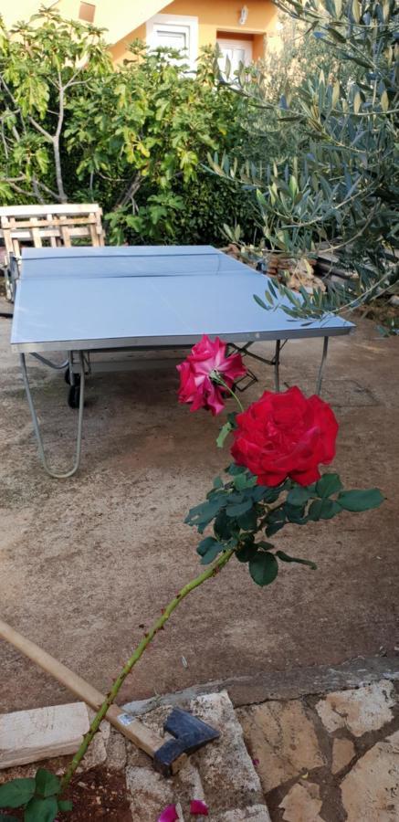 Apartmani Citrus Novigrad Filipac Esterno foto