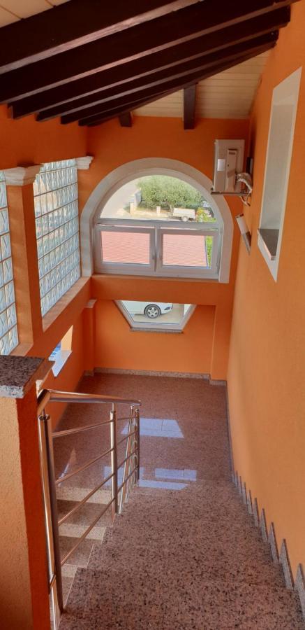 Apartmani Citrus Novigrad Filipac Esterno foto