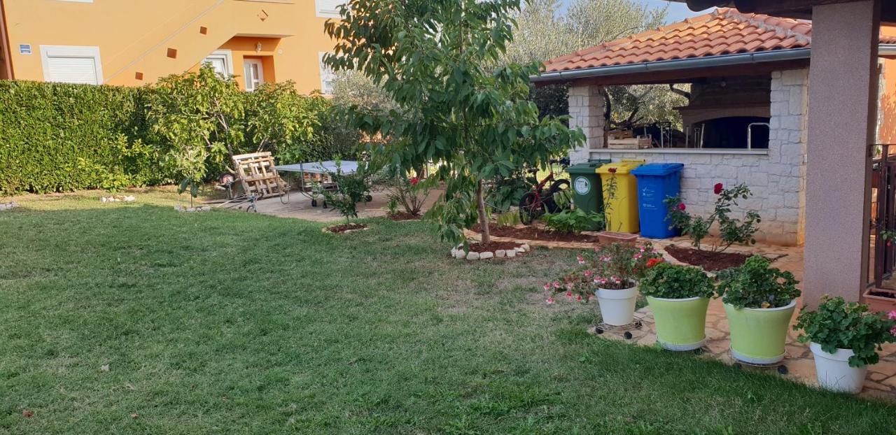 Apartmani Citrus Novigrad Filipac Esterno foto