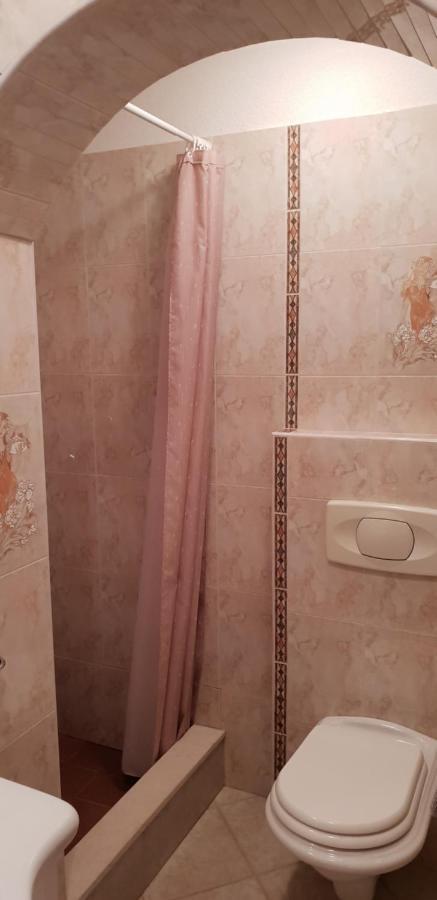 Apartmani Citrus Novigrad Filipac Esterno foto