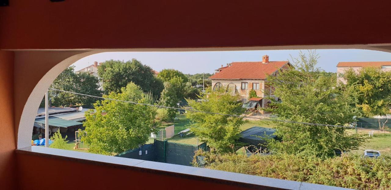 Apartmani Citrus Novigrad Filipac Esterno foto
