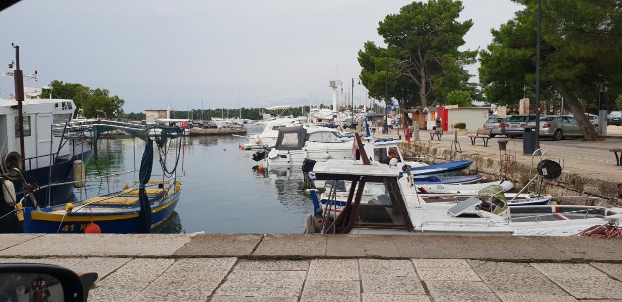 Apartmani Citrus Novigrad Filipac Esterno foto